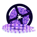 Kit Tira Led Luz Negra Ultravioleta 5050 Rollo 5m 24v+fuente