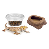 Comedero Reptiles Pajaros Aves Erizos + Zophobas X 50 Nuevo