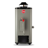 Calentador Agua Rheem Rápida Recuperación 10l/m Gas Nat
