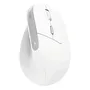 Mouse Trust Inalambrico Bayo Ll Ergonomico Wireless Blanco C | Envío gratis