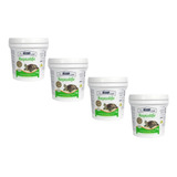 Kit 4 Alcon Club Reptolife Ração Tartaruga 1 Kg