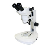 Microscopio Estéreo - Microscopio Binocular Con Zoom Estéreo