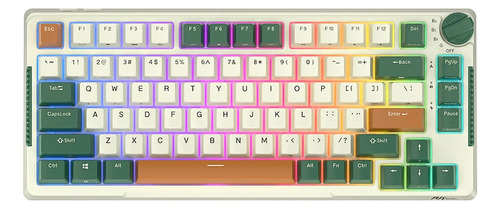 Teclado Mecánico 75% Royal Kludge Rkh81 Gasket Mounted