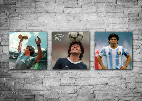 Cuadros Diego Maradona Seleccion Argentina Set X 3 Unidades