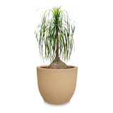 1 Vaso De Planta Redondo Polietileno Decorativo R 45x50