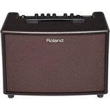 Roland Ac60d Amplificador Para Acustica 60 Watts Color Palo De Rosa