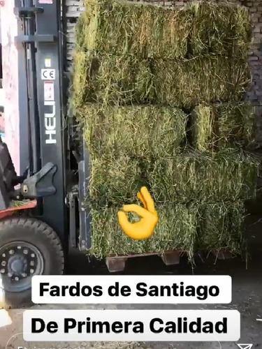 Fardos De Alfalfa Y Virutas De Pino. Alimentos Para Conejos 