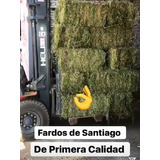 Fardos De Alfalfa Y Virutas De Pino. Alimentos Para Conejos 