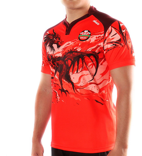 Camiseta Rugby Imago Entrenamiento Vs Pumas Varios Equipos