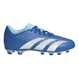 Chuteira adidas Predator Accuracy.4 Fxg Campo Masculina