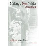 Libro Making A Non-white America : Californians Coloring ...