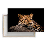 Cuadro Decorativo Moderno Fotofrafia Leopardo Recargado 