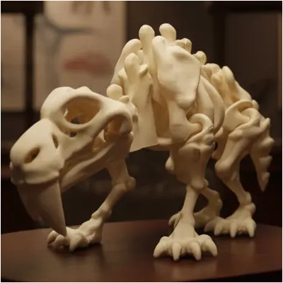 Tigre Dientes De Sable Esqueleto Impresion 3d | MercadoLibre