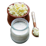 Kefir-bacilos De Leche + Kefir De Agua - g a $245