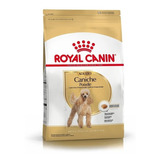 Alimento Royal Canin Breed Health Nutrition Caniche Para Perro Adulto Sabor Mix En Bolsa De 3kg
