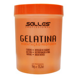 Gelatina Capilar Salles Profissional  1 Kg