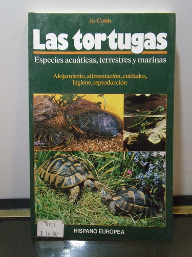 Adp Las Tortugas Especies Acuaticas Terrestres Marinas Cobb