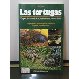 Adp Las Tortugas Especies Acuaticas Terrestres Marinas Cobb