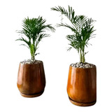 Palmera Areca En Maceta Laqueada En Cobre Con Plato