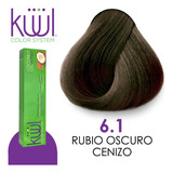 Tinte Kuul Profesional Tono K6.1 Rubio Oscuro Cenizo 90 Ml +