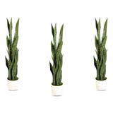 Pack 3 Plantas Lengua De Suegra Artificiales Decoración