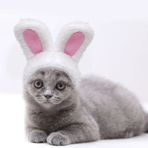 Gorro Orejas Conejo Felpa Mascota Disfraz Gato Perro Pequeño