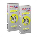 2 Bravecto Plus Gatos Transdermal De 1,2 A 2,8 Kg - 112,5mg