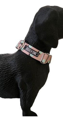 Collar Regulable Perro Mascota Talles Estampados Varios