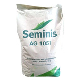 Semente De Milho Verde Doce Ag 1051 Seminis 5kg