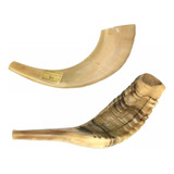 Shofar Chifre De Carneiro De Tocar - 29 A 33 Cm - De Israel