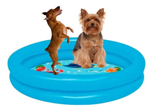 Piscina Para Cachorros Pequenos 28 L Raças Medias Pet Verao 