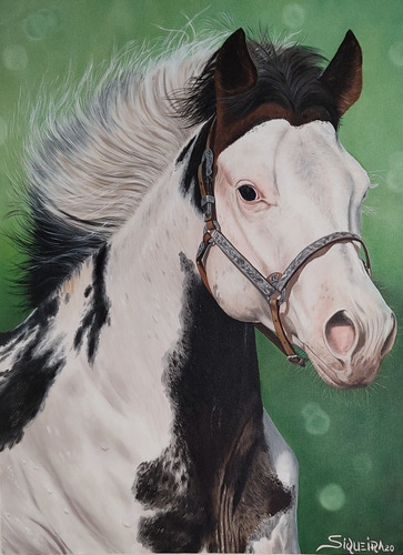 Cavalo Paint Horse. Quadro Com Pintura A Óleo Sobre Tela.