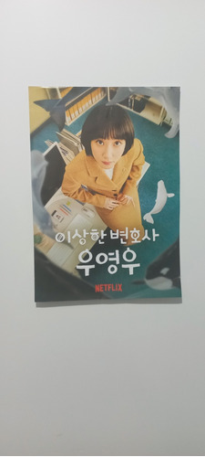 Uma Advogada Extraordinária - Poster Netflix