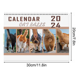 Calendario B Cats Butts 2024 Para Amantes De Los Gatos, Dive