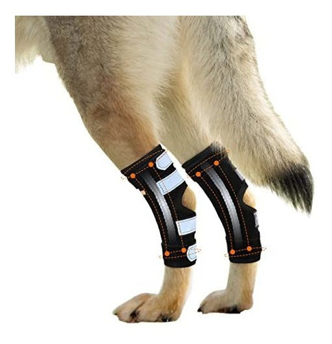 Soportes Estabiliza Patas Traseras Para Perros X-large