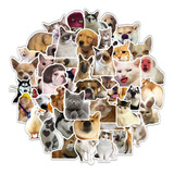 Mascotas Perro Gato 50 Calcomanias Stickers Pvc Contra Agua