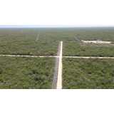 Terreno Industrial En Venta En Merida, Yaxcopoil