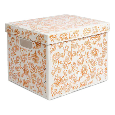 Caja Para Archivar Documentos Carta Oficio Plástico Corrugado Pack 6 Naranja Claro | Envío gratis