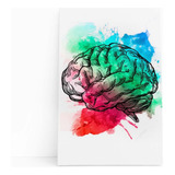 Quadro Canvas Cérebro Colorido Minimalista Arte 60x40cm