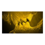 Quadros 3d Grande Tela Casal Beijo Romantico Dourado 130x70 Cor Colorido