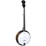 Banjo Strinberg Wb50 5 Cordas Pele Remo Weatherking  Mogno