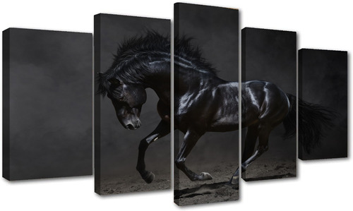 5 Cuadros Decorativos Caballo Oscuro Diseño Artístico Hogar 