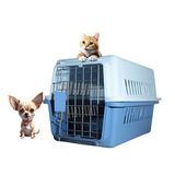 Caja Transportador Perro Canil Jaula Transporte Mascota Gato Color Azul Cielo