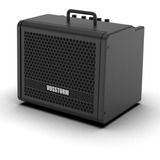 Cubo Guitarra Vosstorm Gx-8 25w Rms Falante 8 Cor Preto 110v/220v