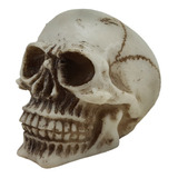 Crânio Caveira Pequeno Esqueleto Decoração Em Resina 6 Cm.