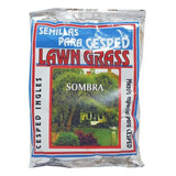 Semillas Césped Inglés Sombra Lawn Grass Premium