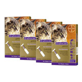 4 Advocate Gatos 4 A 8kg Antipulgas Envio Imediato Com Nf