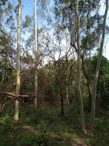 Chácara Em Rio Claro 24.200m2 Com Rio - Imagen 3