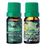 Kit Óleos Essenciais De Melaleuca E Cravo 100% Puro - Rhr