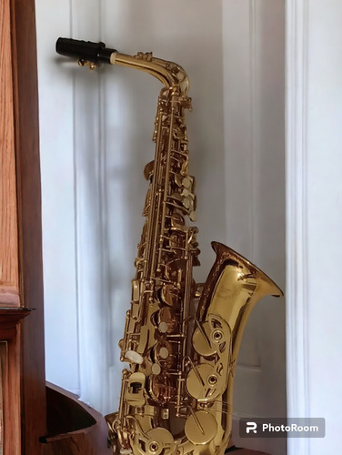 Saxo Alto 